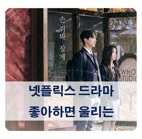[넷플릭스 드라마 추천] 좋아하면 울리는 인기 비결 분석 (시즌2 기대중)
