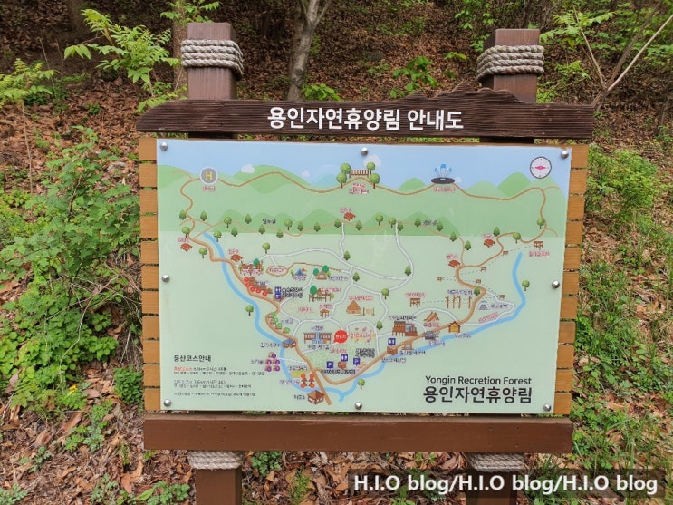  용인 자연휴양림 임도길 산책 경기도 가볼만한 곳