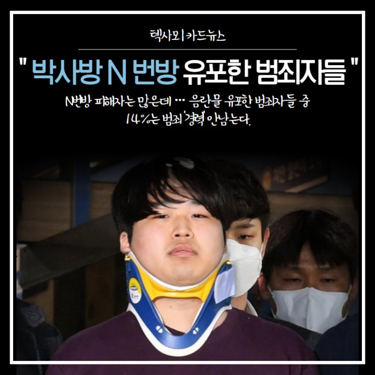  "박사방 N번방 유포한 범죄자들 14%는 범죄 경력 안남는다.