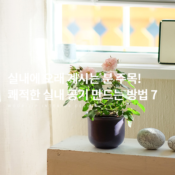  실내 공기질을 관리해야 하는 이유와 방법 7가지, 실내에 오래 계신 분이라면 꼭 보세요! (환기 방법, 베이크아웃 등)