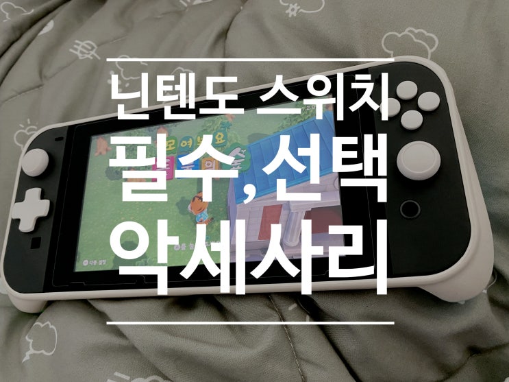  총 10종류 닌텐도 스위치 악세사리 필수와 선택 총정리
