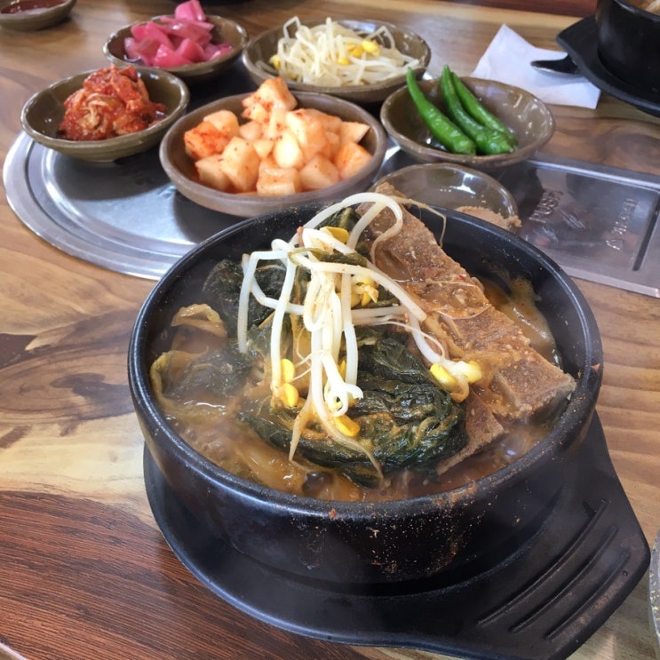  풍암동 점심으로 등뼈가감자탕에서 뼈해장국먹었어요