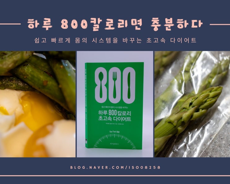  하루 800칼로리로 도전하는 초고속다이어트 비법