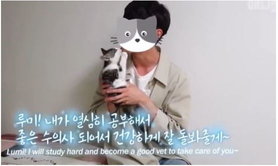 갑수목장 유튜브 동물 학대 고발, 죄송합니다 해명영상…과거 배우 유승호가 입양한 반려묘에게 "굶기니까 일하네".. 갑수목장 유튜브 동물 학대 고발, 죄송합니다 해명영상…과거 배우 유승호가 입양한 반려묘에게 "굶기니까 일하네"..