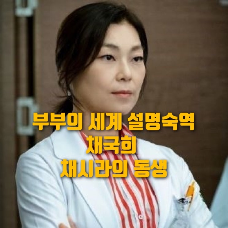 부부의 세계 설명숙역 채국희 알고보니 채시라 동생