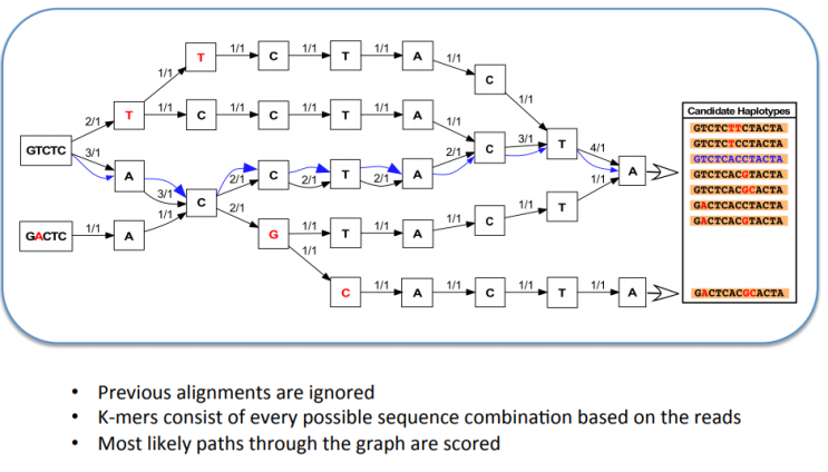  haplotypecaller (3) - k-mer , De-Bruijn graph(assembly graph)