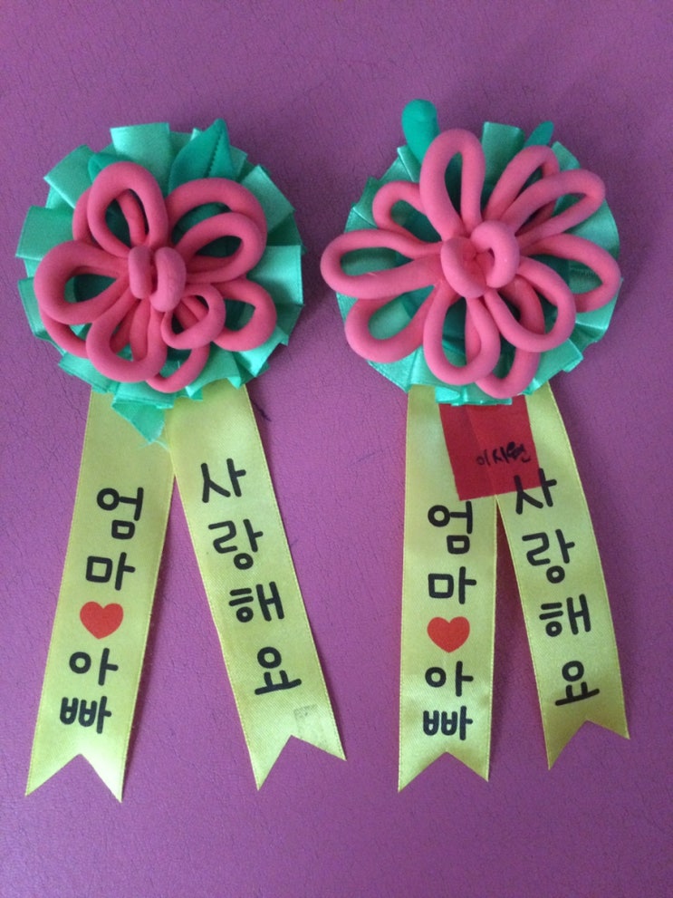 슬쌍디아빠 과거로의 산책(2008.05.08.~2019.05.08.) 육아일기 FILE 152 / 어버이날