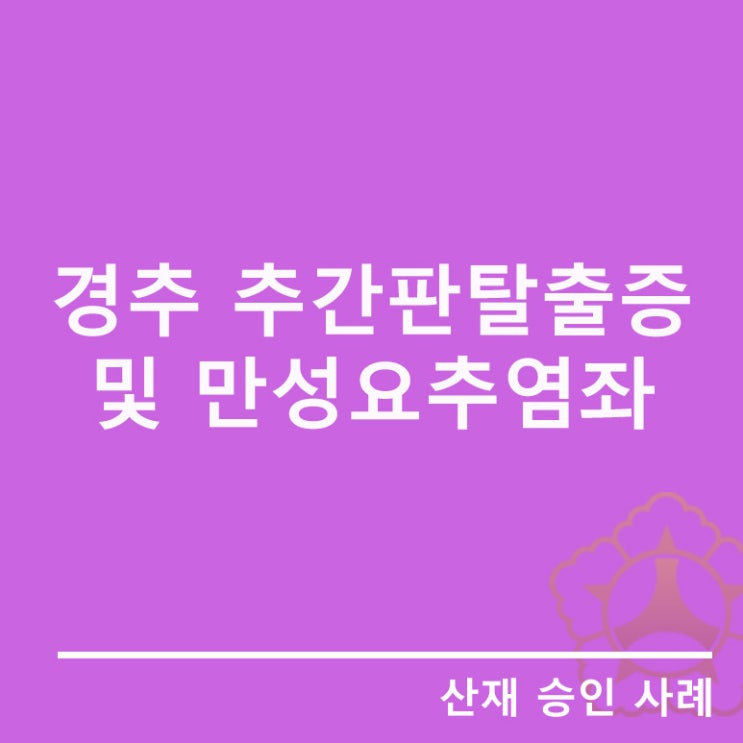  [근골격계 질환]자동차제조업 근로자의 경추추간판탈출증 및 만성요추염좌
