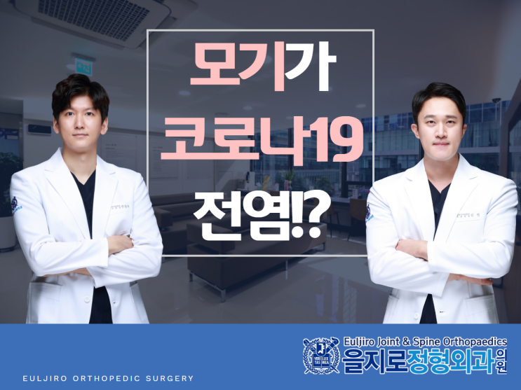  모기가 코로나19바이러스를 전염시킬까!?