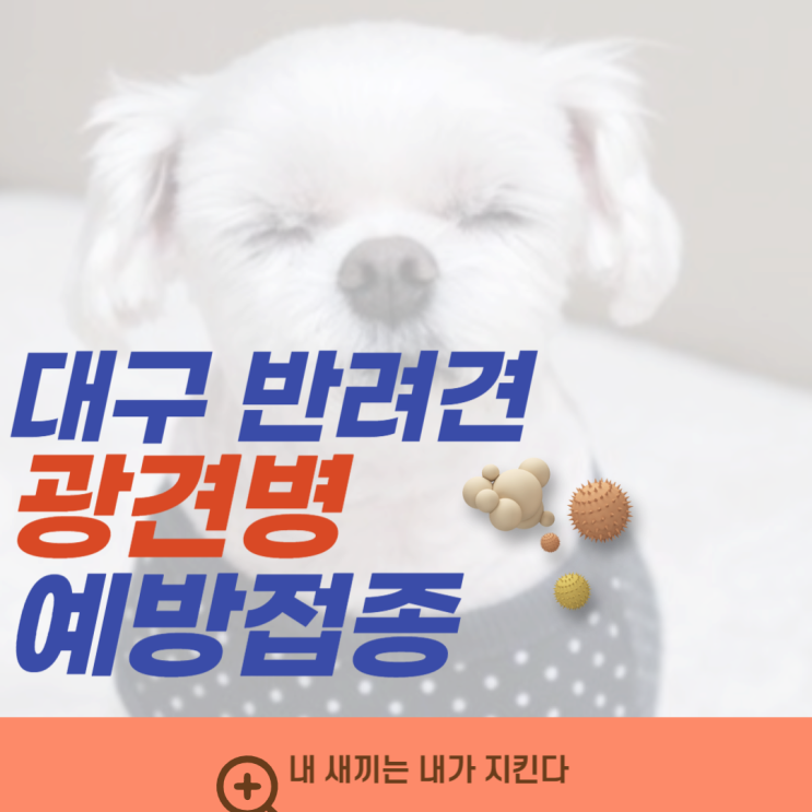  대구 강아지 광견병 예방접종 3,000원으로 해결해요