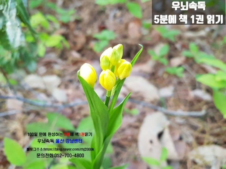  "5분에 책 1권 읽기" 학부모 후기
