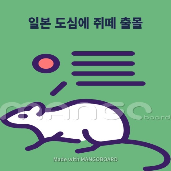 일본 번화가를 점령한 쥐떼들이 활보중...