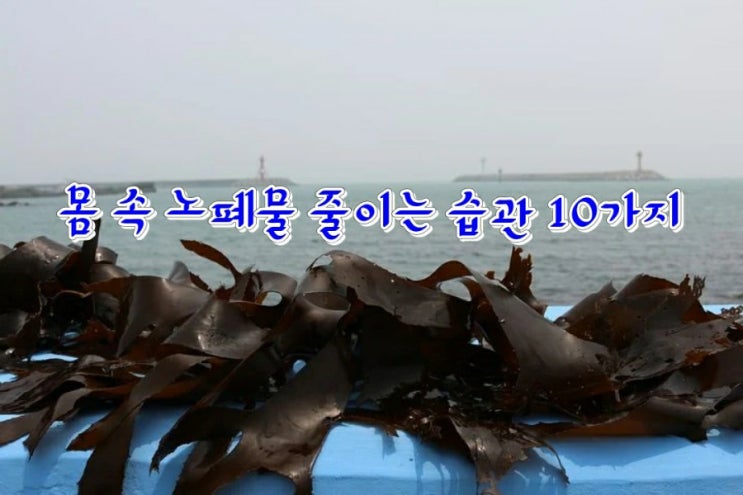 몸 속 노폐물 줄이는 습관 몸 속 노폐물 줄이는 습관