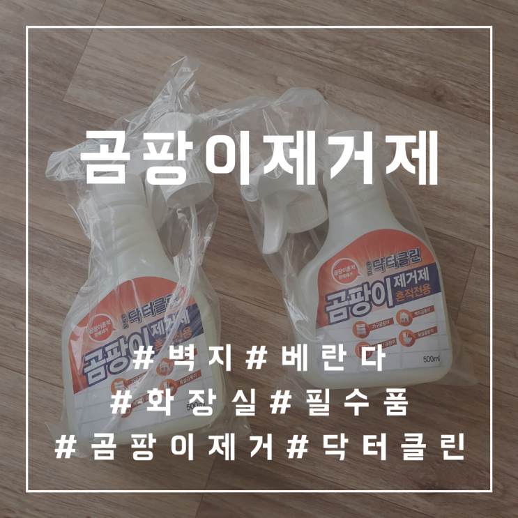 베란다곰팡이 벽곰팡이제거 필수품 닥터클린 곰팡이제거제 베란다곰팡이 벽곰팡이제거 필수품 닥터클린 곰팡이제거제