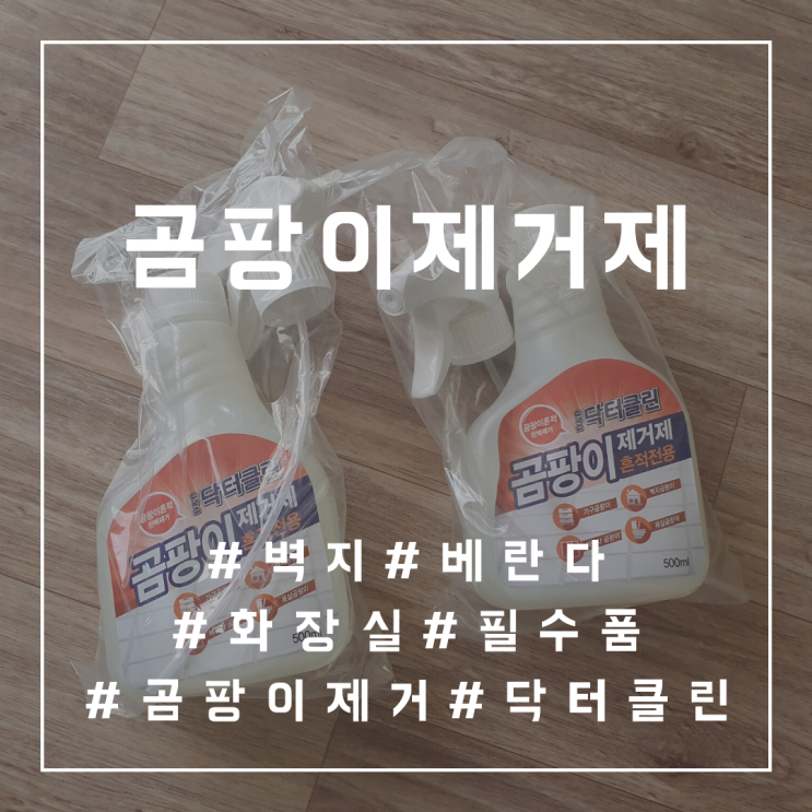 베란다곰팡이 벽곰팡이제거 필수품 닥터클린 곰팡이제거제