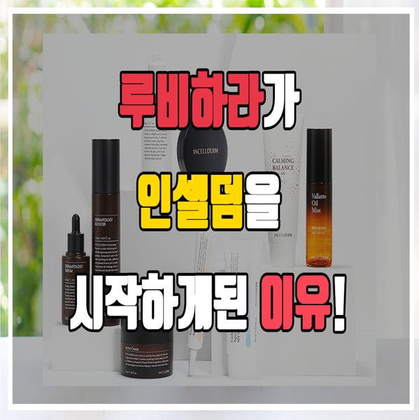  인셀덤 - 사업을 시작하게된 이유!