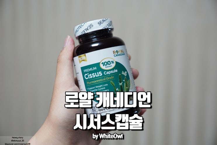  시서스 캡슐 추천 로얄 캐네디언 시서스 편하게 먹기 좋네