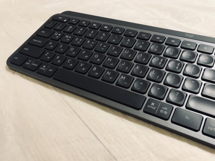  로지텍 MX Keys 리뷰 (직접구입)