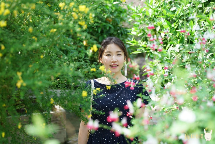 아산 가볼만한곳 세계꽃식물원 LIAF 아산 가볼만한곳 세계꽃식물원 LIAF