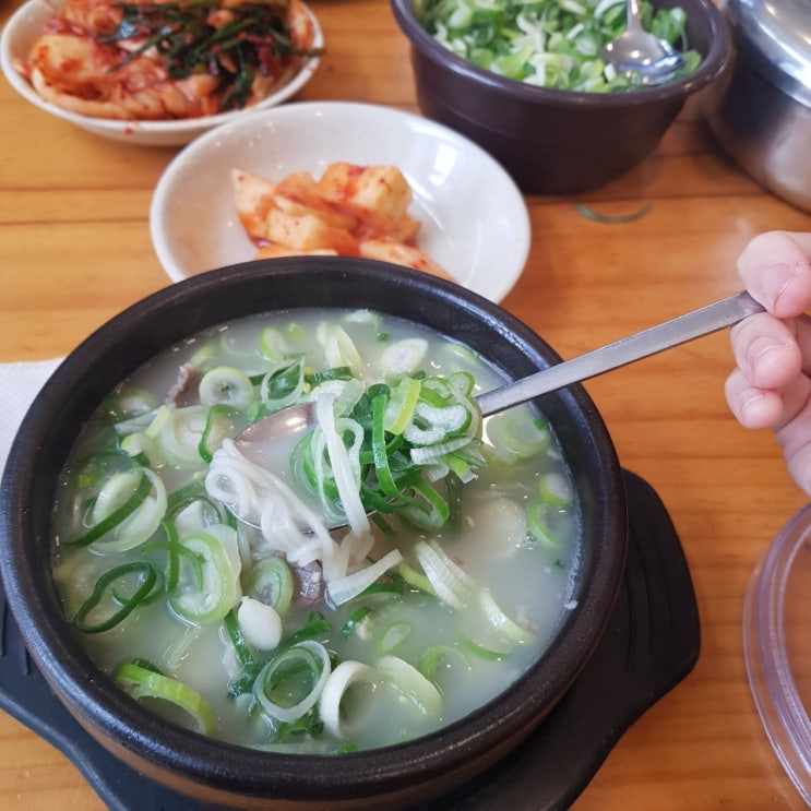  마포 양지설렁탕 미쉐린 가이드 맛집