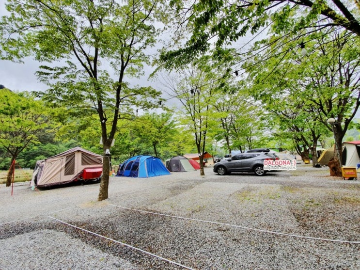  아이들이 좋아한 최고의 영월 외룡캠핑장
