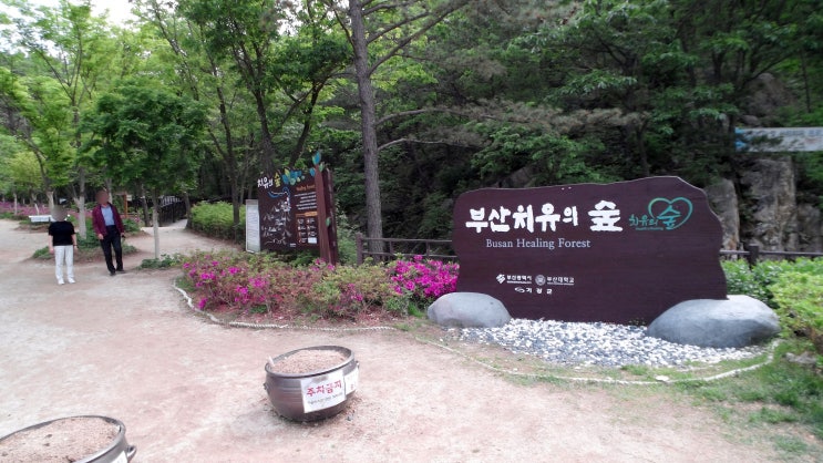  [드라이브 여행] 부산 치유의 숲 당일치기 드라이브