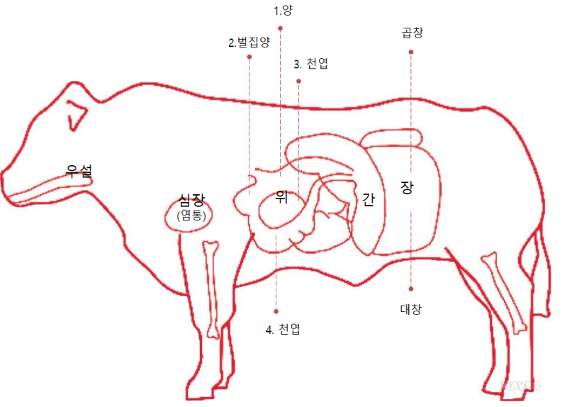 소곱창집에서 파는 소 내장 종류(양, 천엽, 막창, 곱창, 대창 ) : 네이버 블로그