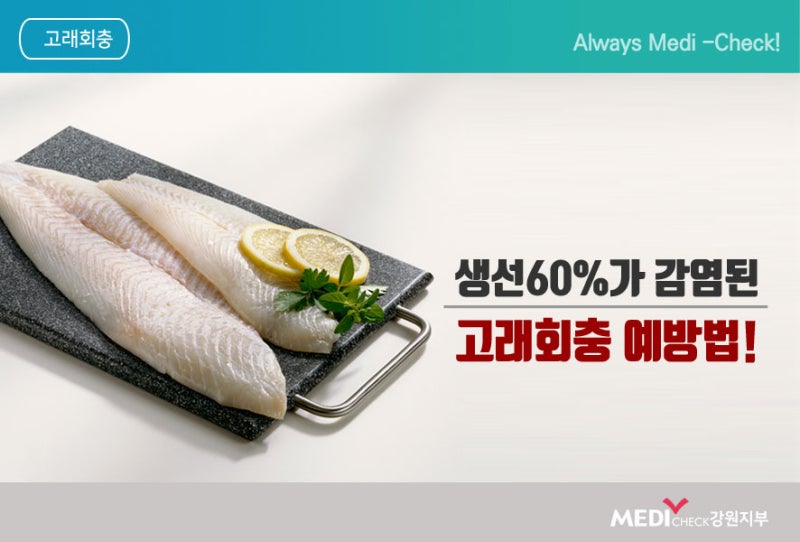 고래회충(아니사키스) 증상 및 예방법! : 네이버 블로그 고래회충(아니사키스) 증상 및 예방법! : 네이버 블로그