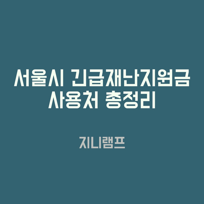  서울시 긴급재난지원금 사용처 총정리편 + 신청기간 및 신청방법 살짝 공유
