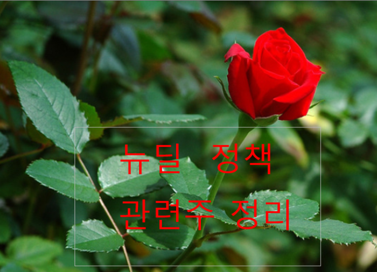 뉴딜 관련주 총정리 뉴딜 관련주 총정리