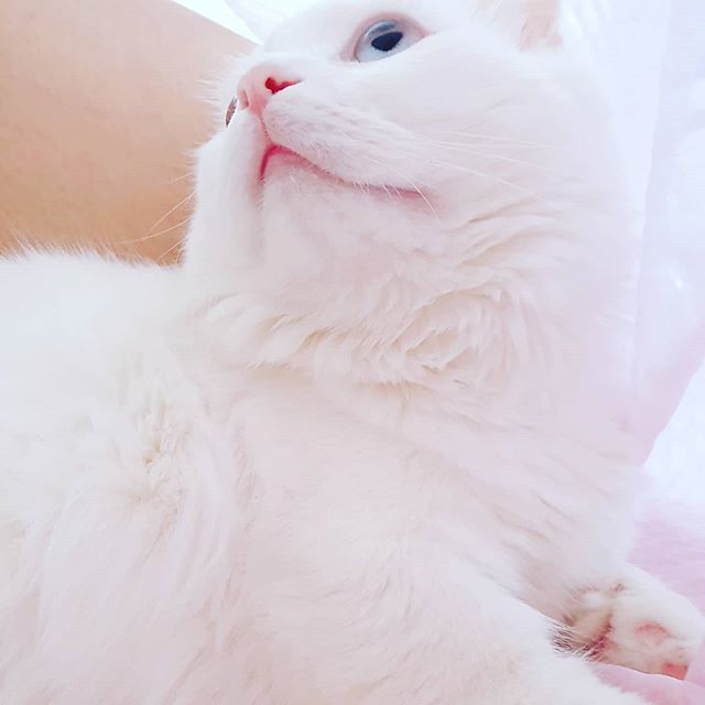  이불속에_몰래_숨어_들어와jpg