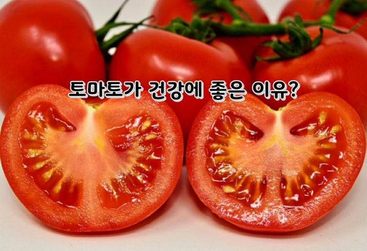 [건강]토마토가 좋은 이유