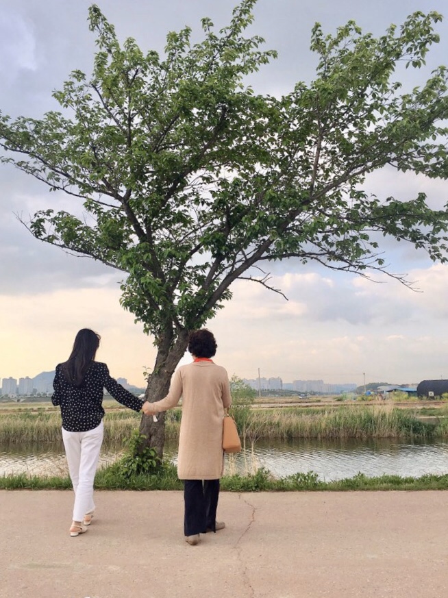 시흥 연꽃테마파크 산책 :)