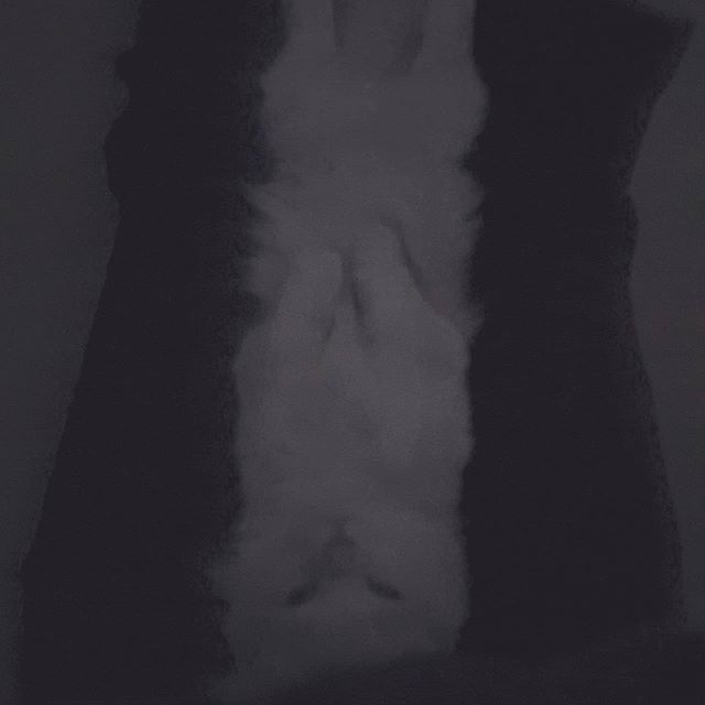  이젠 날 좋아하는건지 괴롭히는 건지 헷갈리기 시작한다.