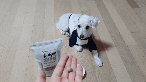  [애견 간식] 굳디몰 : 슈퍼펫 황태볼
