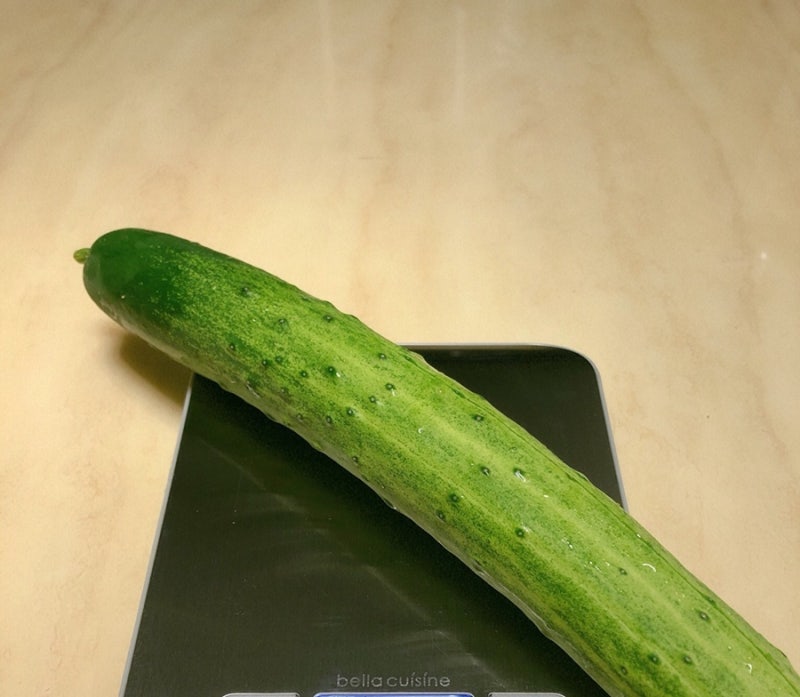 오이 손질법 오이 보관법 칼로리 오이 영어로 오이 종류