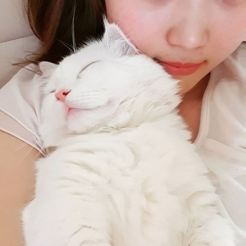  연휴의 시작은 꿀잠이짖