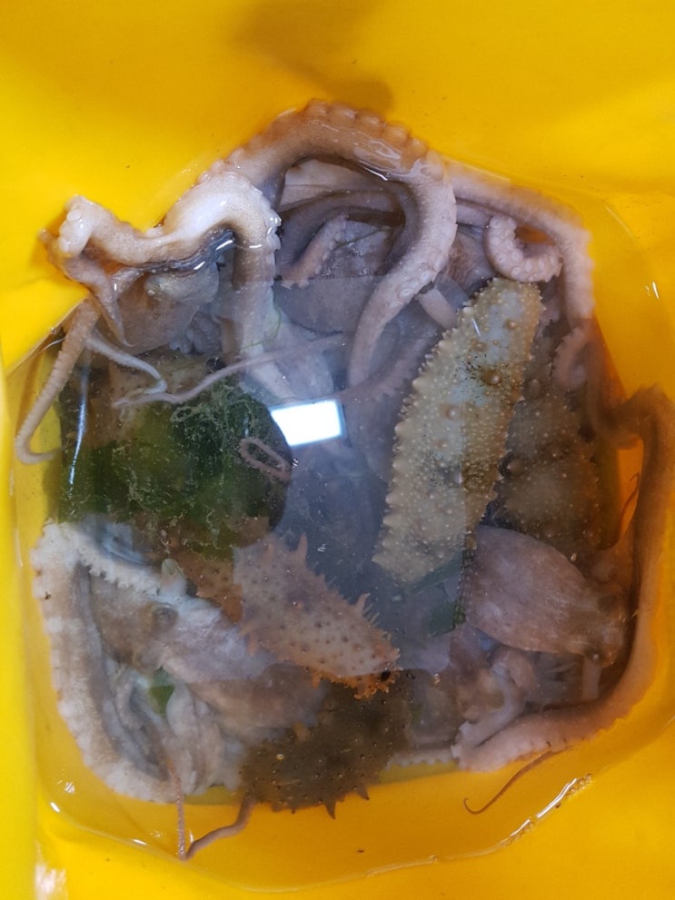  시화방조제 해루질 낙지 15마리 해삼 7마리~ 처음보는 대형해삼^^;;;