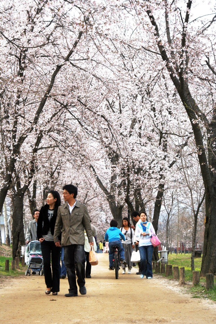  이걸 다시 볼수있을까???