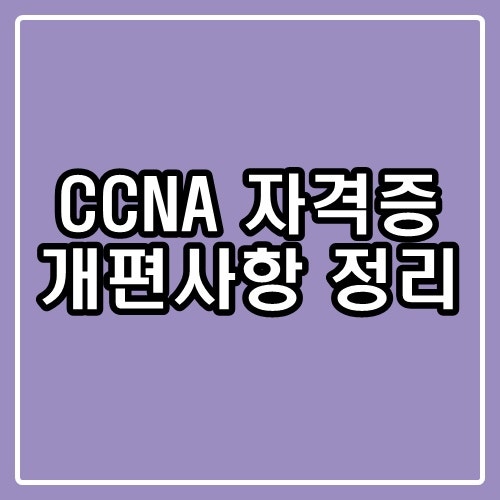 CCNA자격증 개정 후에는 어떻게 준비해야 할까?