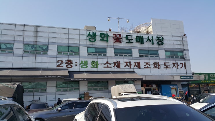  아침의 양재동 화훼공판장 '절화시장'