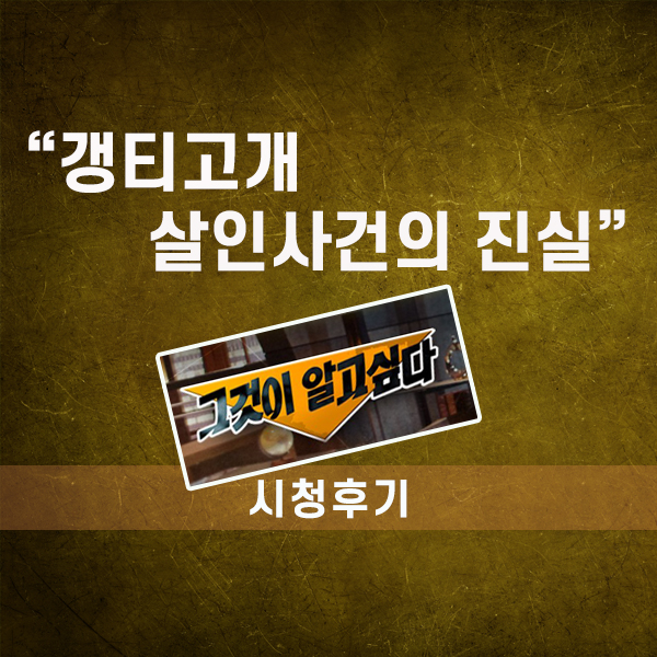  그것이 알고싶다, 갱티고개 살인사건의 진실(시청후기)