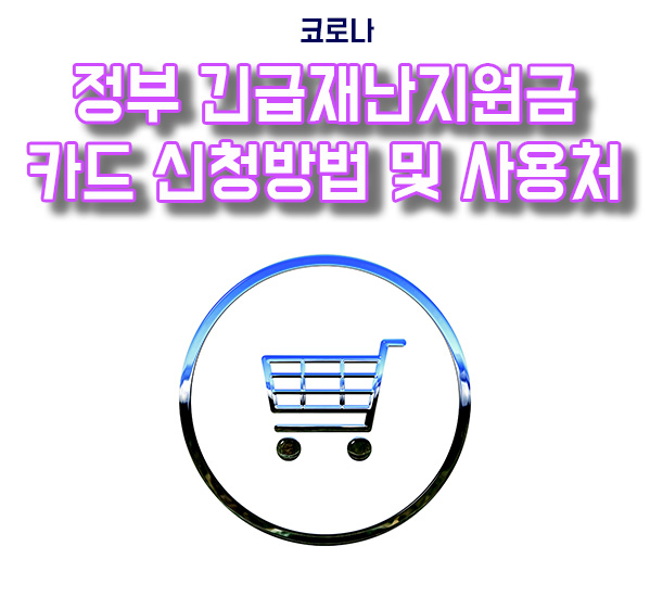  긴급재난지원금 카드 신청방법 및 사용처, 사용불가업종