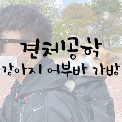 견체공학 강아지 어부바 가방 한달 사용 리뷰 견체공학 강아지 어부바 가방 한달 사용 리뷰