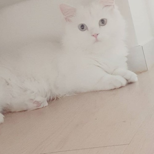  립 바른 거 깜빡하고 뽀뽀했더니...c