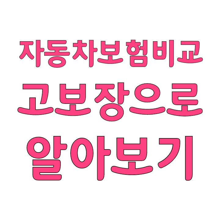  자동차보험비교 고보장으로 알아보기