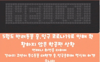  강아지 고양이 해외운송 출국 입국 검역[코로나항공편]카고