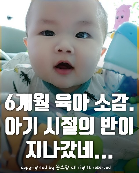  초보엄마 육아일기  6개월 간의 육아 짧은 소감, 신생아맘 힘내세요!