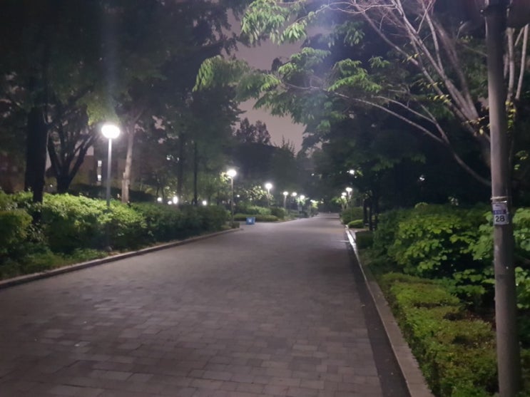  예쁜 시립대의 여름밤
