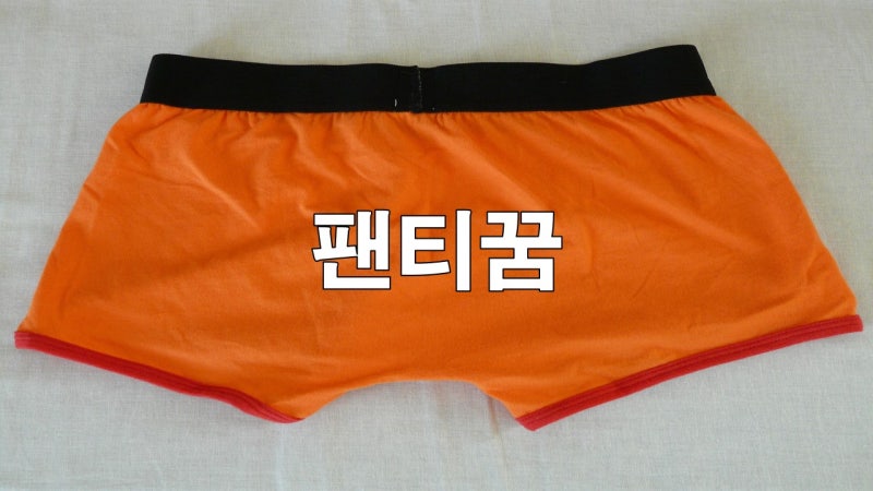 팬티꿈 해몽 정리